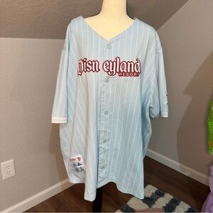 Disneyland Resort Light Blue Baseball Jersey